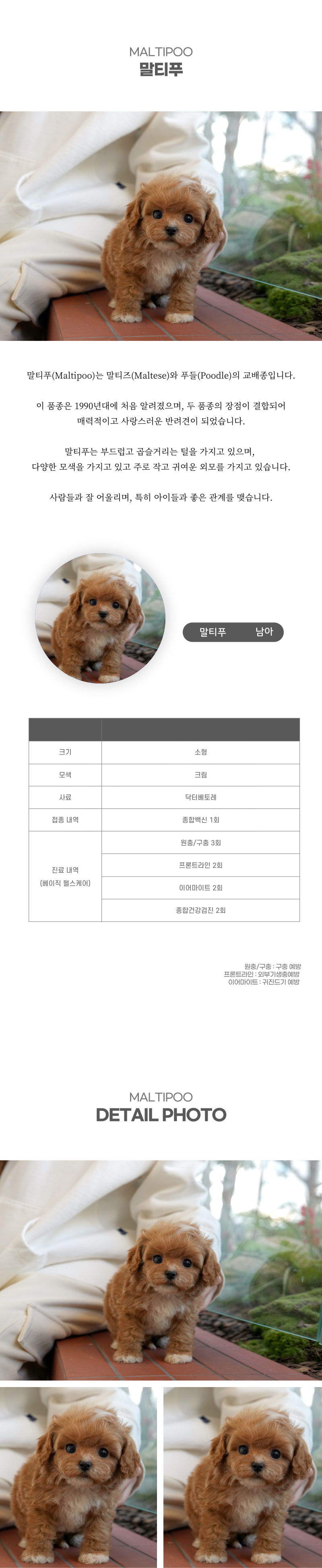 말티푸_상세이미지_2